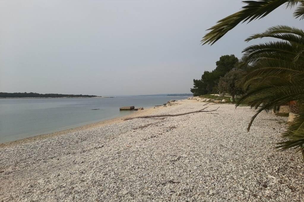 Apartman Near Fazana-500 From The Sea 外观 照片