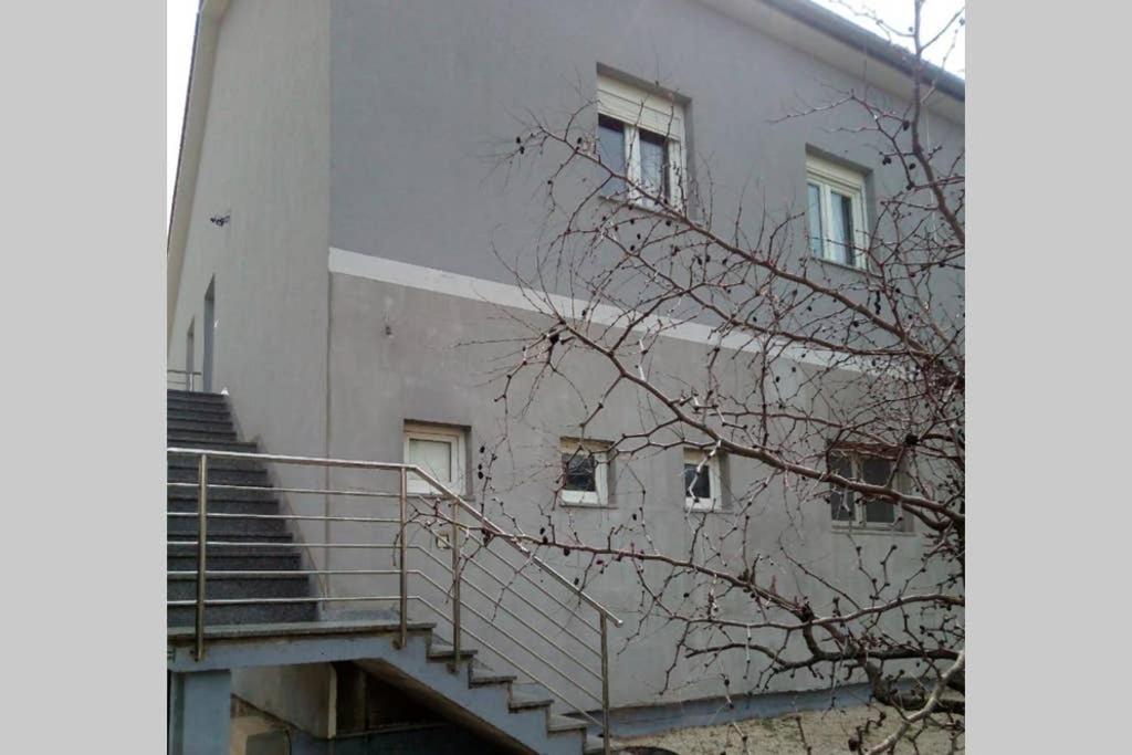 Apartman Near Fazana-500 From The Sea 外观 照片