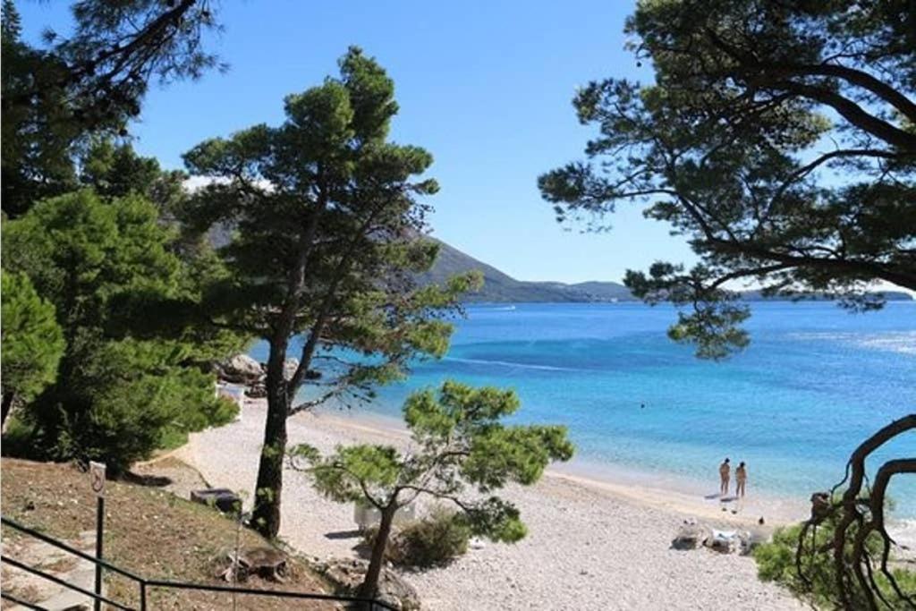 Apartman Near Fazana-500 From The Sea 外观 照片